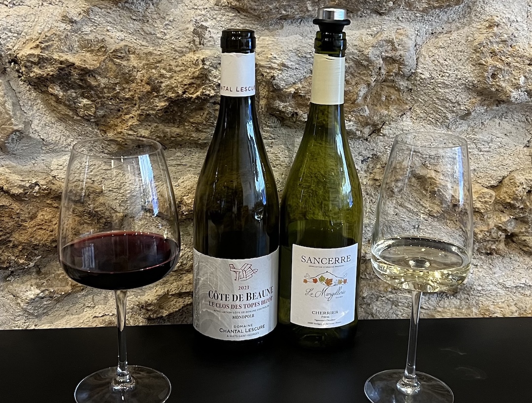 Atelier de découverte autour du vin